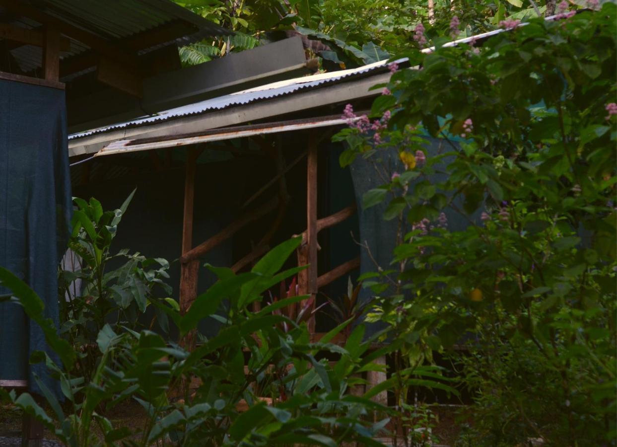 Corcovado Guide House Hotell Barrigones Exteriör bild