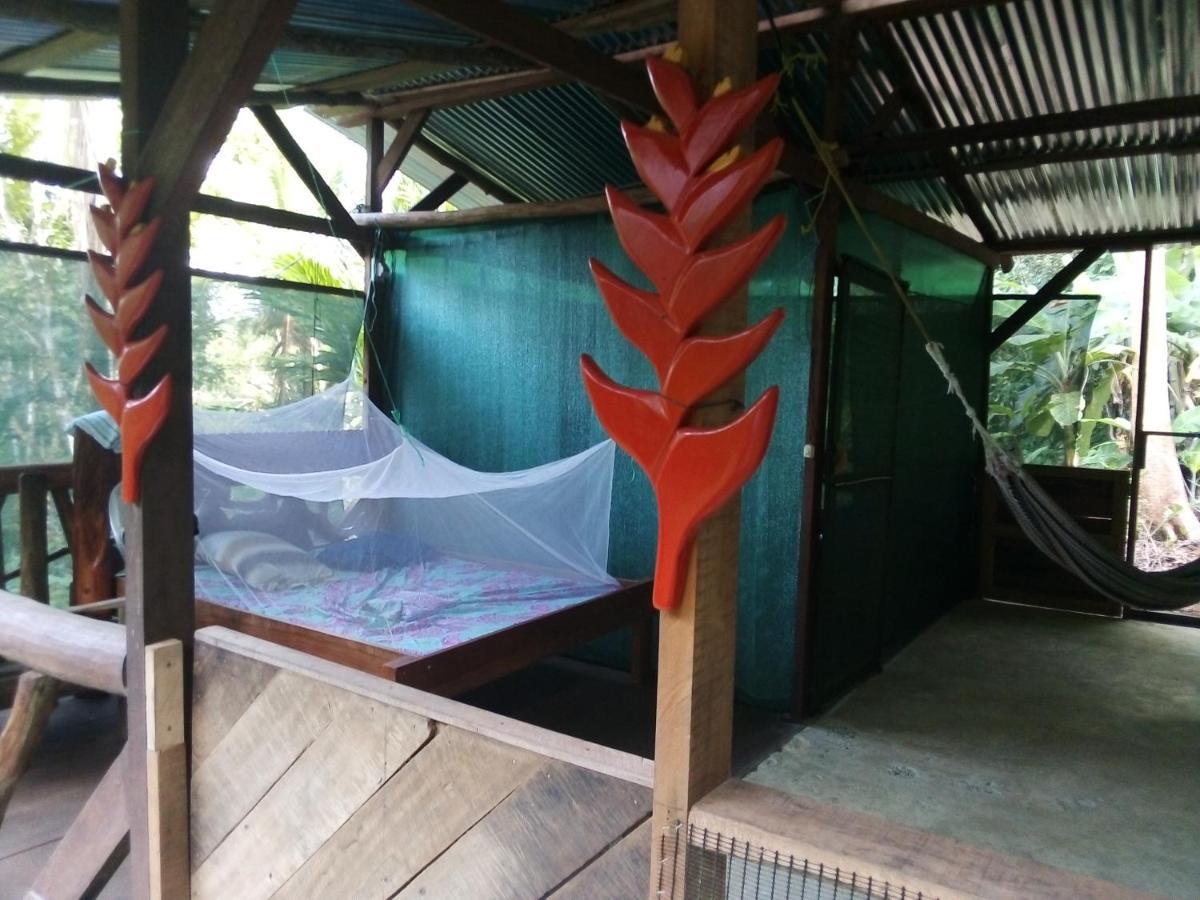 Corcovado Guide House Hotell Barrigones Exteriör bild