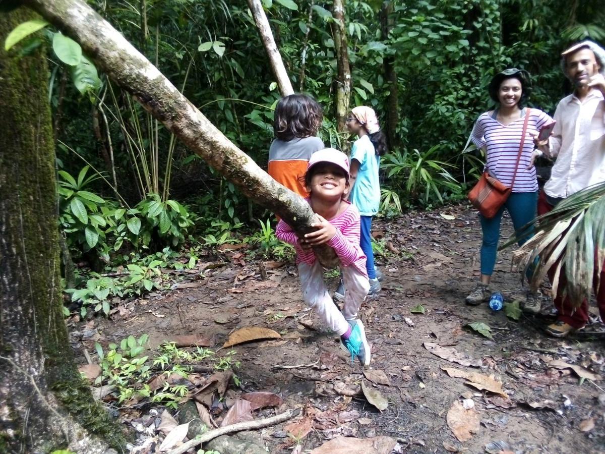 Corcovado Guide House Hotell Barrigones Exteriör bild