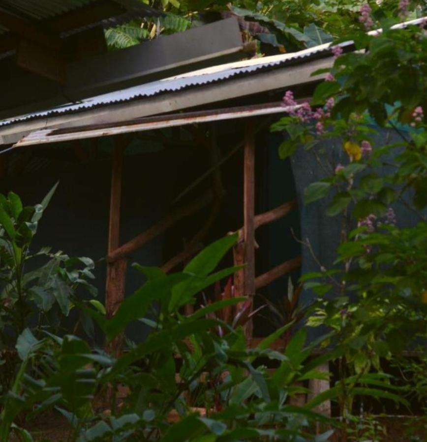 Corcovado Guide House Hotell Barrigones Exteriör bild